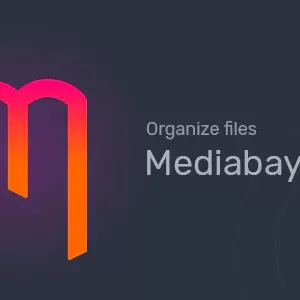 افزونه مرتب سازی و سازماندهی فایل های کتابخانه وردپرس - Mediabay