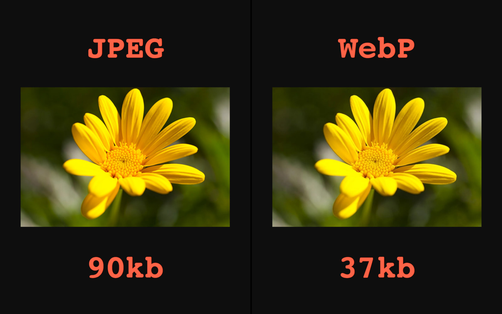 Automatic WebP & Image Compression, Lazy Load for WordPress & WooCommerce