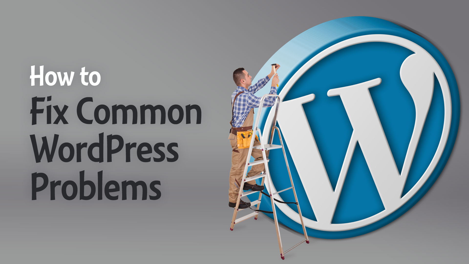 Fix Common WordPress Problems